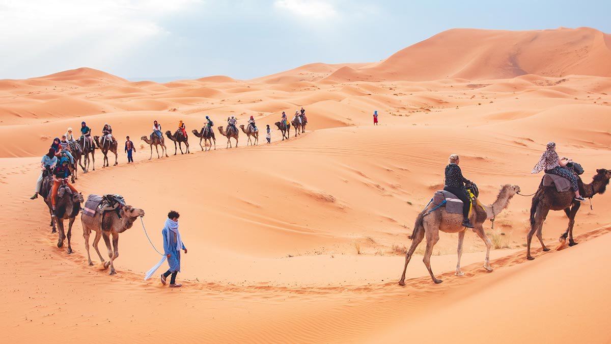 Camel Trekking in Morocco